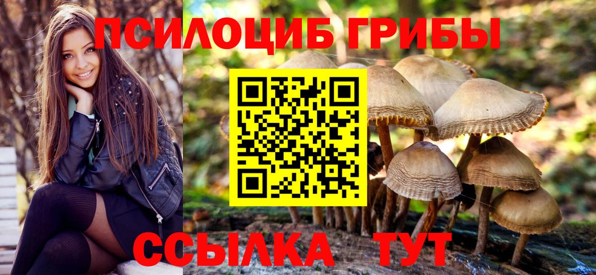 Джанкой  Псилоцибиновые грибы MAGIC MUSHROOMS  Вход с VPN 